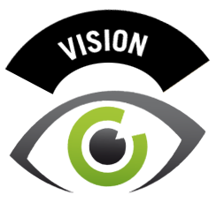Vision