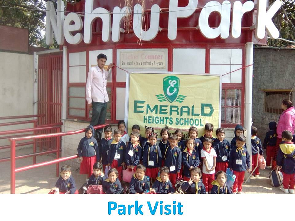Pre-Primary