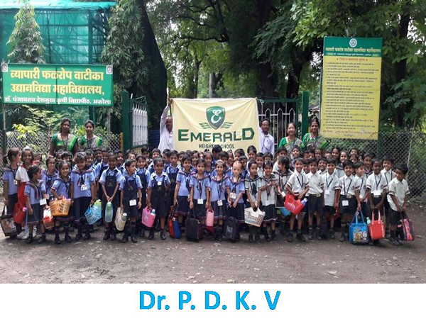 Pre-Primary